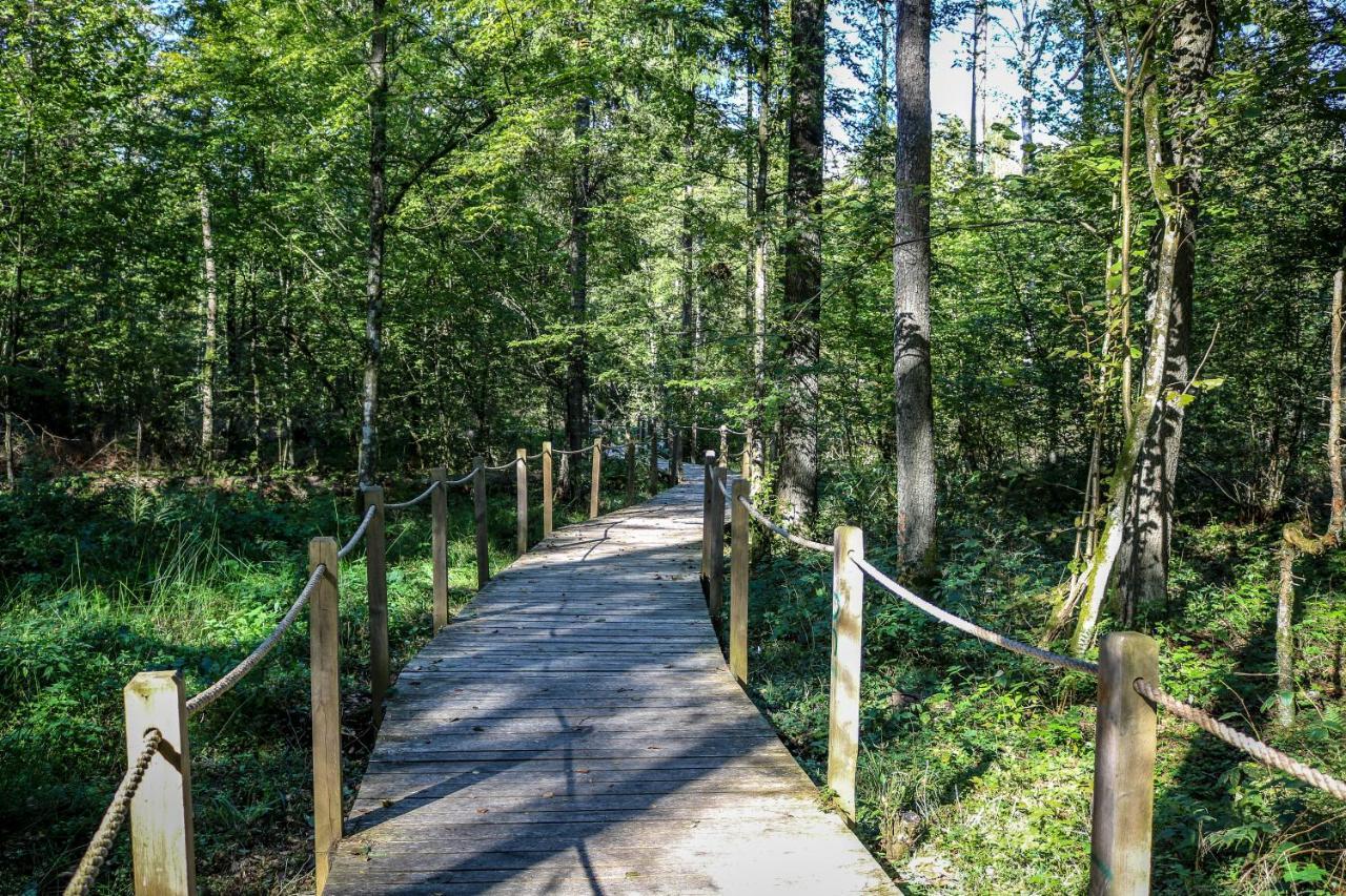 Lesna 21 Dom Polnoc Przy Zalew Siemianowka Villa Luka Kültér fotó